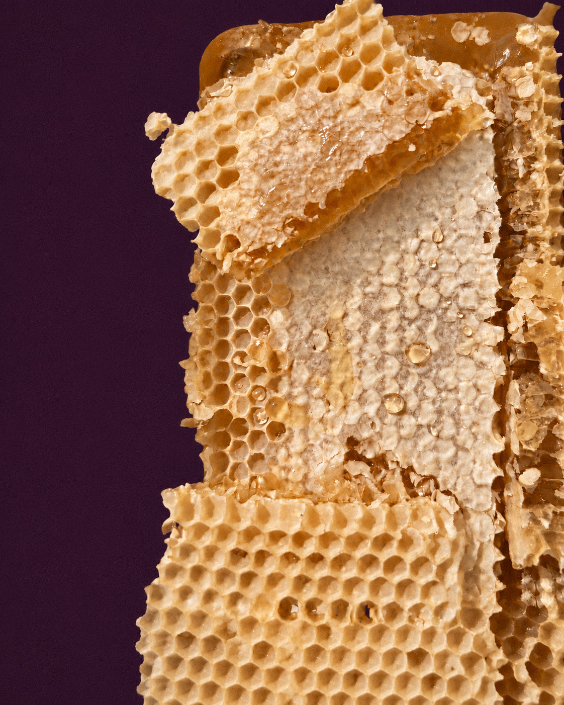 Adley's Honeycomb 200g