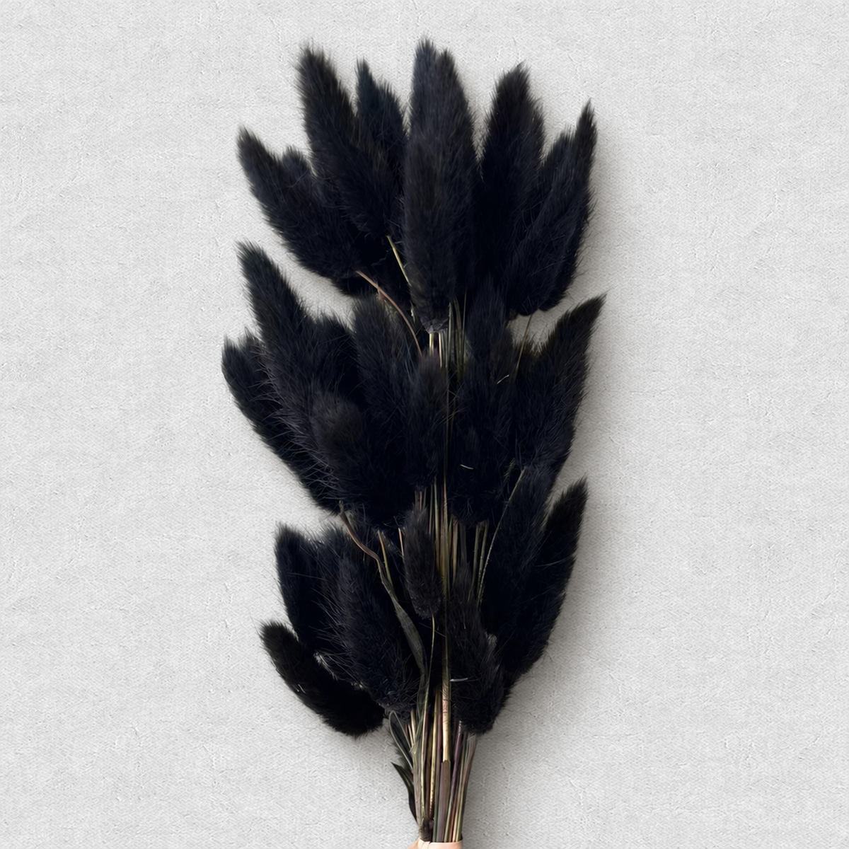 Bunny Tails — Black