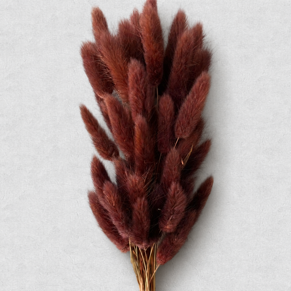 Bunny Tails — Brown