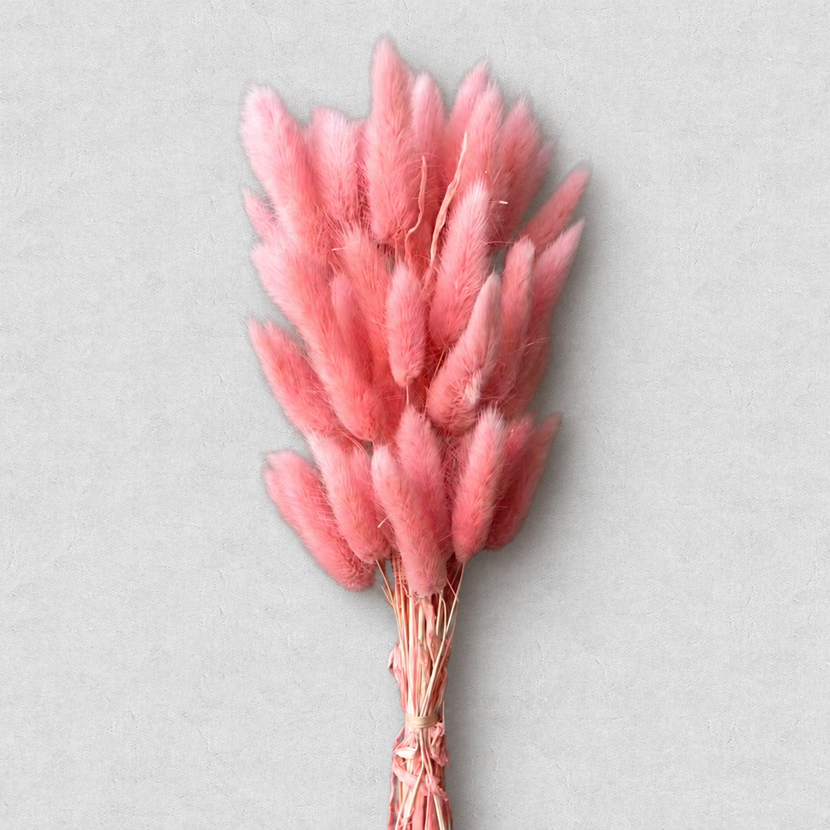 Bunny Tails — Coral Pink