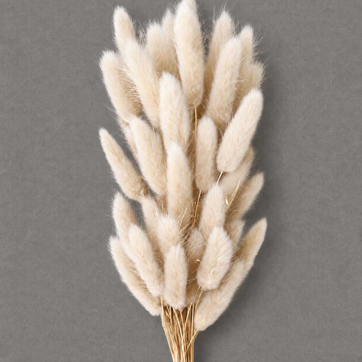 Bunny Tails — White