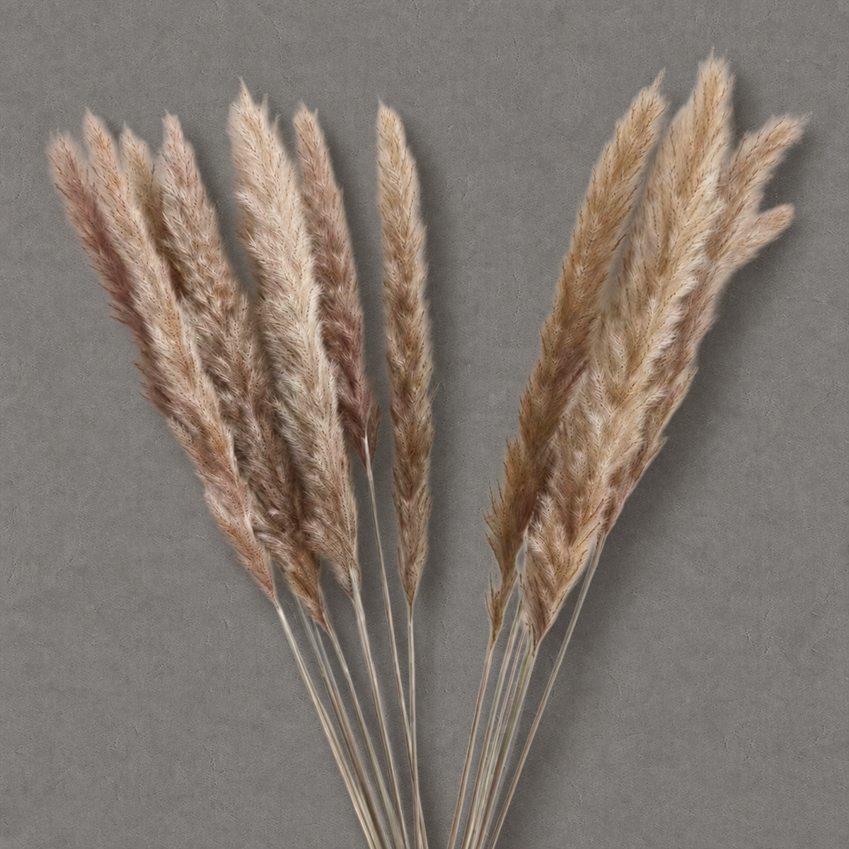 Fluffy Stick — Natural