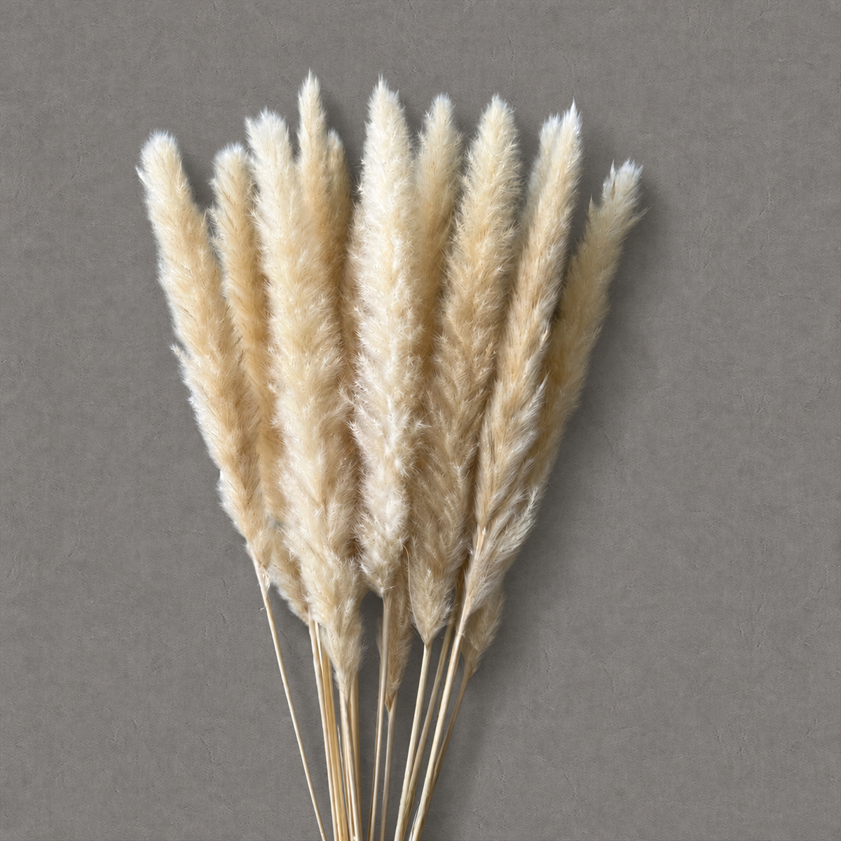 Fluffy Stick Oat — Natural