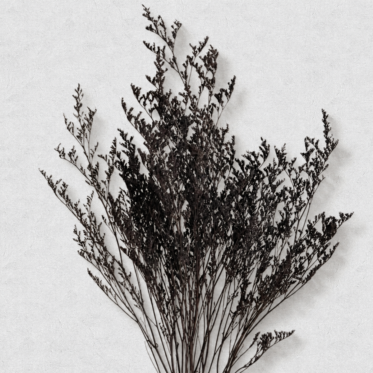 Misty — Black